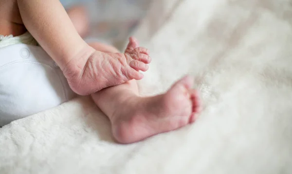 Yeni Doğan Bebeğin Küçük Bacakları Stok Fotoğraf