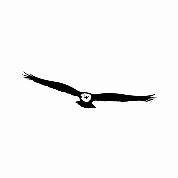 Vetor Silhueta Águia Vetor Pássaro Voador —  Vetores de Stock