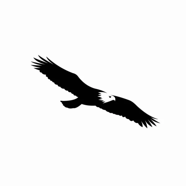Vettore Silhouette Aquila Vettore Uccello Volante — Vettoriale Stock