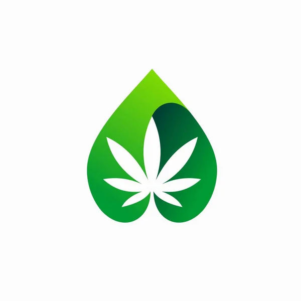 Cannabis Vektor Cbd Vektor Vorlage — Stockvektor