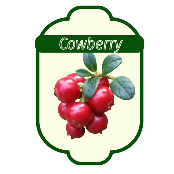 Cowberry címke, vektoros illusztráció — Stock Vector