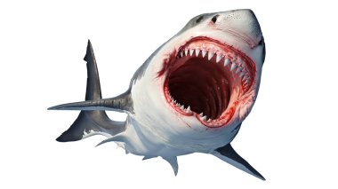 White shark marine predator clipart