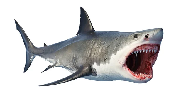 Tubarão branco predador marinho grande boca aberta — Fotografia de Stock