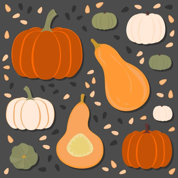 カラフルなカボチャと種子季節秋シームレス パターン灰色の背景に — ストックベクタ