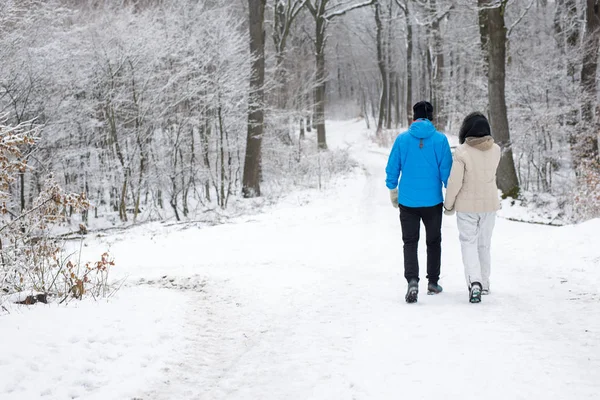 Gelukkig Onherkenbaar Ouder Echtpaar Wandelen Een Bos Van Winter Tot — Stockfoto