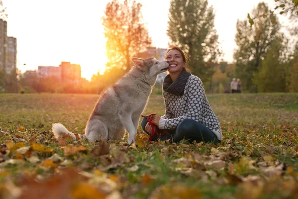 Wanita Muda Yang Cantik Memeluknya Husky Anjing Luar Mendapatkan Ciuman — Stok Foto