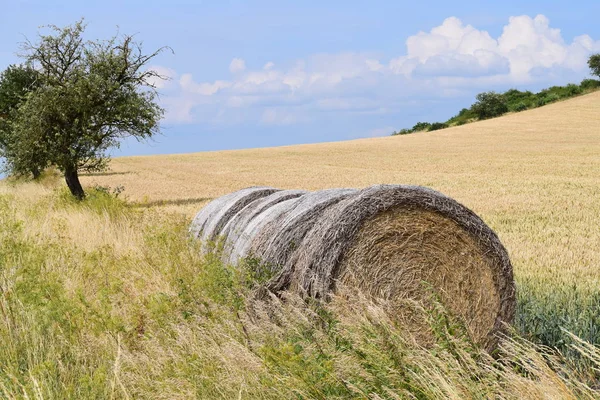Bir alanın kenarında modern saman balya