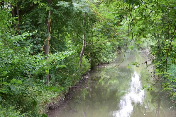 yağlı bir yeşil ile durgun su