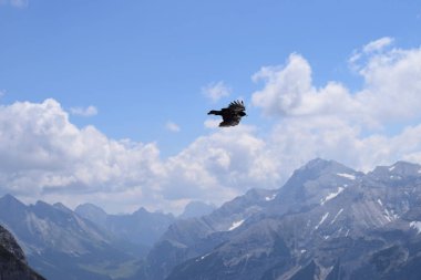 Karga Bulut'un üzerinde uçuyor.