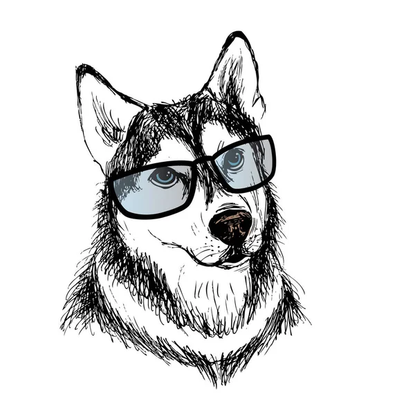 Vector illustration of hipster pig in glasses and scarf ,vintage