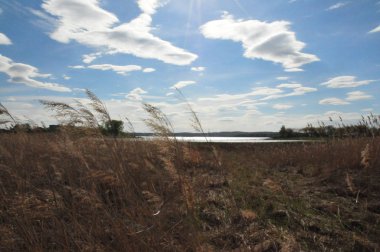 Ural, şehir Chebarkul, yaz, gün, bulutlar, göl manzaralı.