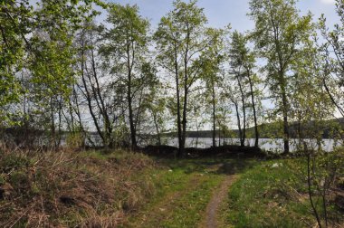 Lake Chebarkul, yaz, gün, göle giden yol.
