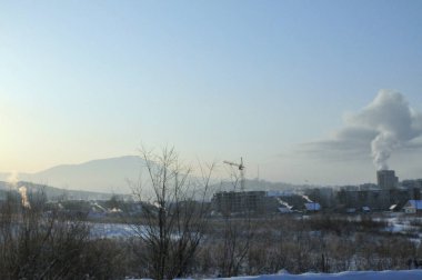 Altay, kış, Ocak ayı, günü, dağ