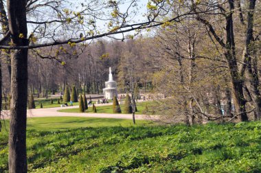 St. Petersburg, Peterhof, yaz, gün, park, ağaçlar, sokak, yamaç, çim