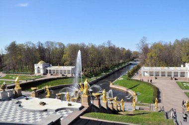 St. Petersburg, Peterhof, yaz, gün, görünümünden Samson yukarıdaki, yamaç, Merkezi