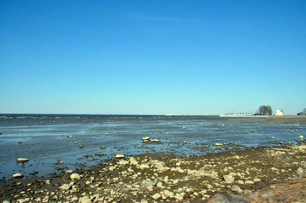 São Petersburgo Peterhof Verão Dia Costa Golfo Finlândia Vista Cais — Fotografia de Stock