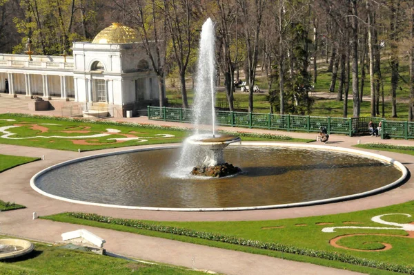 Petersburg Peterhof Lato Dzień Park Aleja Fontanna Monogram — Zdjęcie stockowe