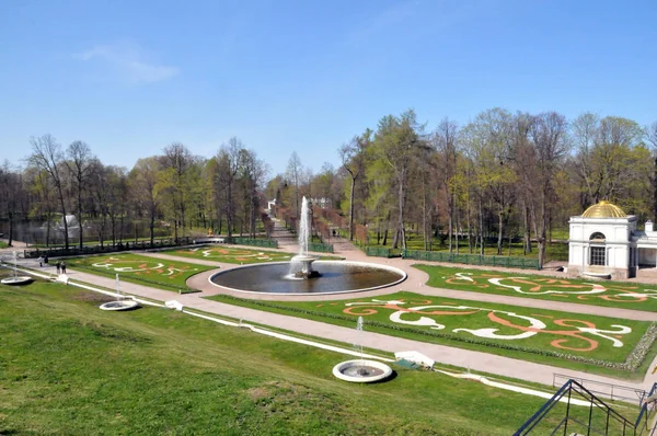 Petersburg Peterhof Sommar Dag Små Fontäner — Stockfoto