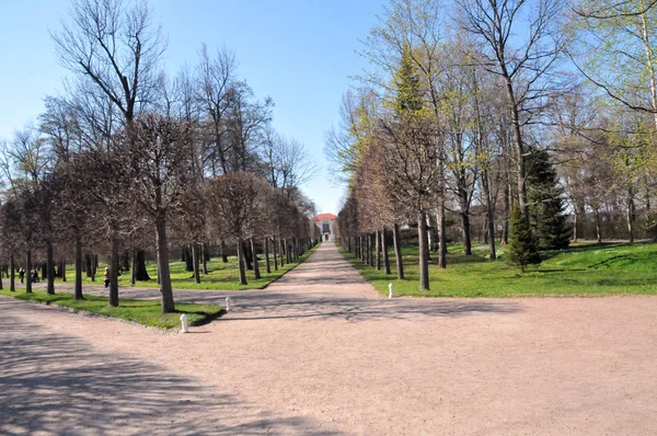 San Pietroburgo Peterhof Estate Giorno Incrocio Vicoli — Foto Stock