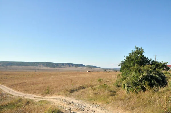 Crimée Ville Bahchisarai Steppe Jour Route Nuages Arbre — Photo