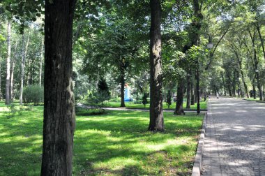 Ivano-Frankivsk, Şehir Parkı, ağaçlar