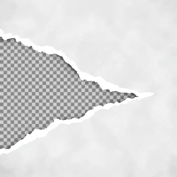 Papier Ouvert Déchiré Gris Avec Fond Transparent Feuille Papier Déchirée — Image vectorielle