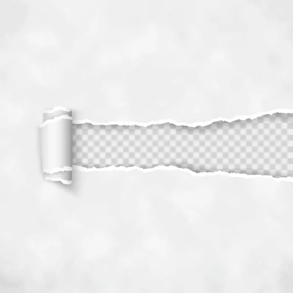 圧延縁破れ紙 ラフ紙ストライプの破線 透明な背景で隔離のベクトル図 — ストックベクタ