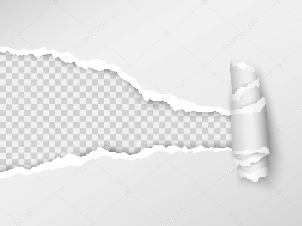 Torn paper. Realistic hole in the sheet of paper on a transparent background. Vector illustration