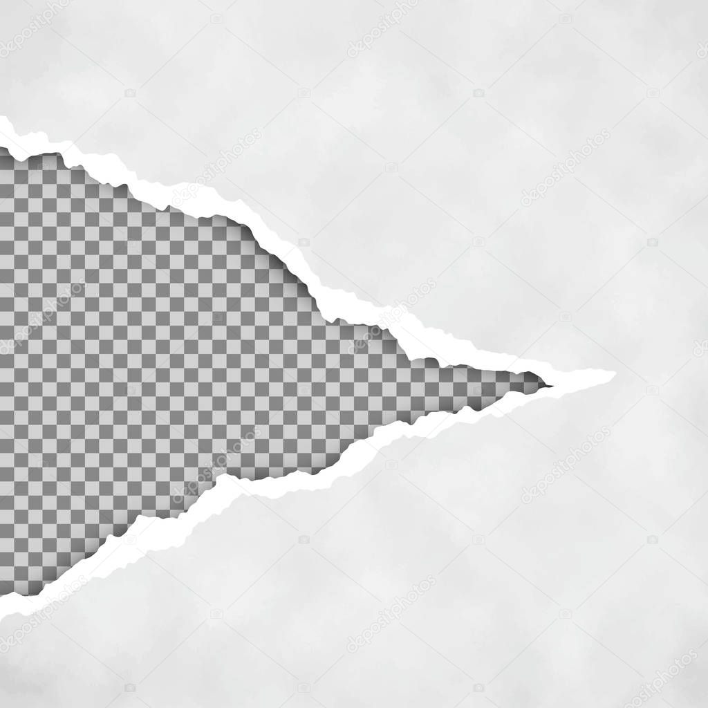 Gray ripped open paper with transparent background. Torn paper sheet. Torn paper edge. Paper texture. Vector illustration