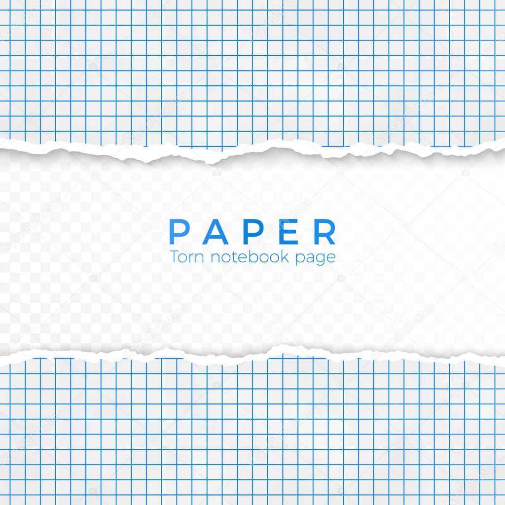 Torn Edge of Blue Squared Paper. Torn Piece of Squared Paper from Notebook. Blank Page Isolated on Transparent Background. Vector illustration 