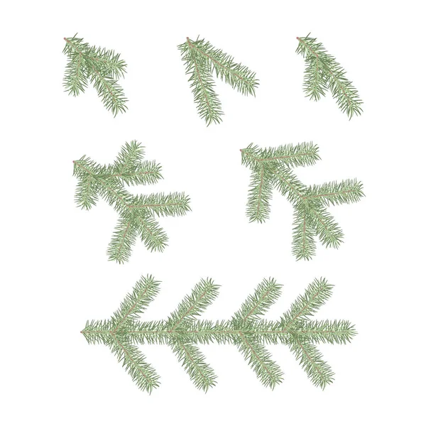 Ramos Verdes Uma Árvore Natal Isolada Fundo Branco Ilustração Vetorial —  Vetores de Stock