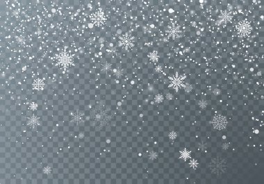 Kar yağışı. Noel kar. Karanlık şeffaf arka plan üzerine düşen kar taneleri. Xmas tatil arka plan. Vektör çizim