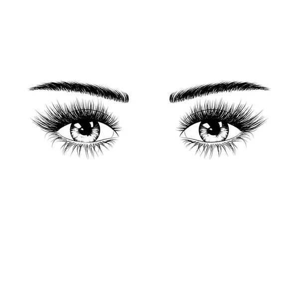 Silueta Dibujada Mano Ojos Femeninos Con Pestañas Cejas Ilustración Vectorial — Vector de stock