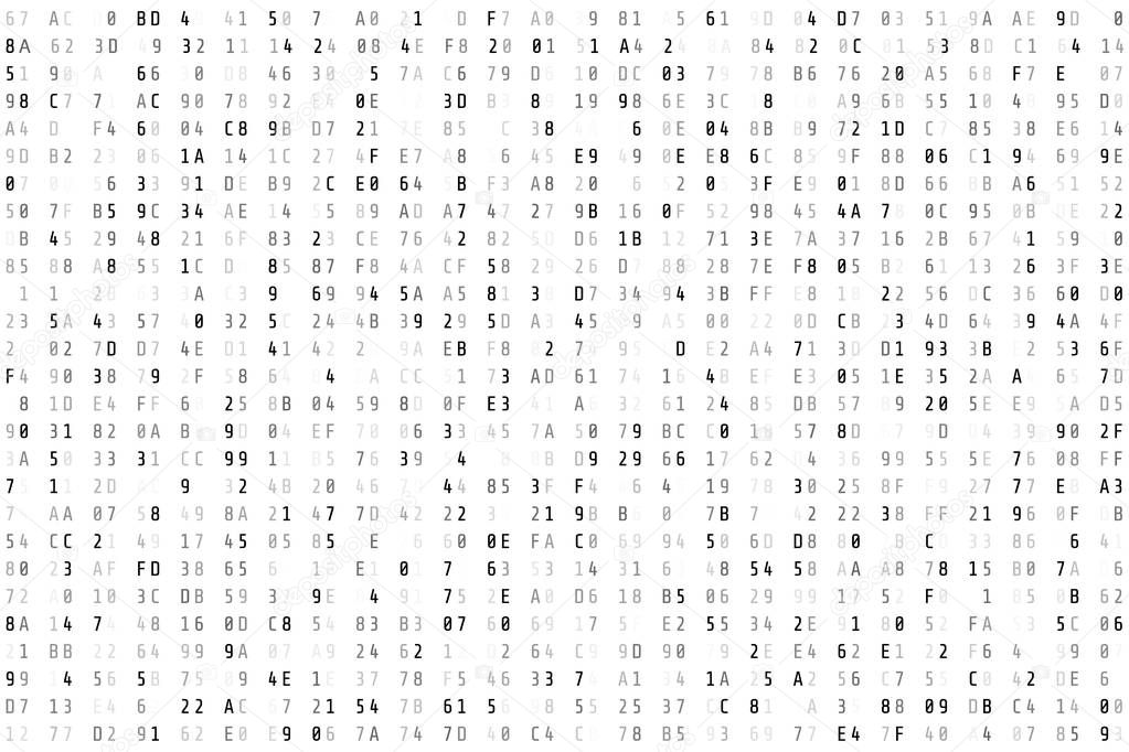 Random  hex code stream. Matrix background. Vector illustration isolated on white background