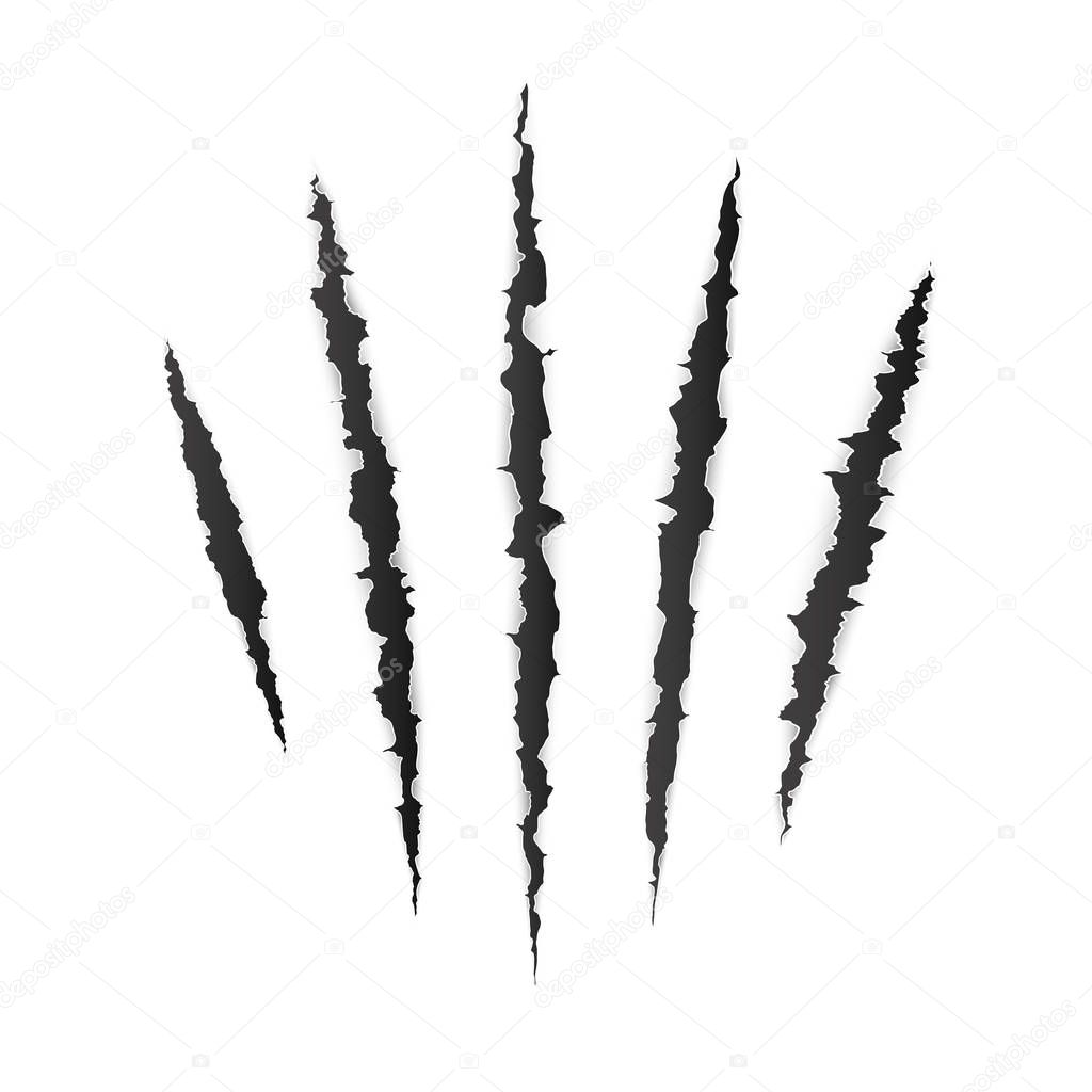 Animal claw scratches. Wild animal claws scratch texture. Vector illustration isolated on white background