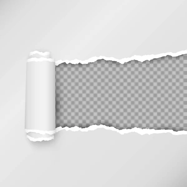 Desenho de tira de papel rasgado. Papel aberto rasgado com espaço para texto. Ilustração vetorial —  Vetores de Stock