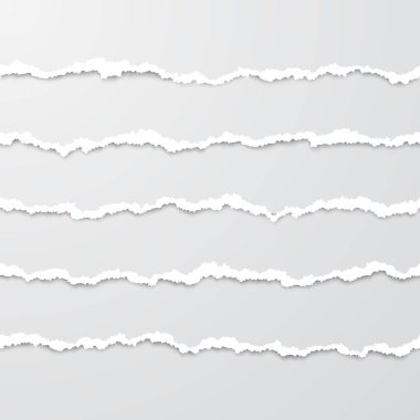 Gölgeile yatay sorunsuz yırtılmış kağıt şeritler kümesi. Hasarlı kenarlı kağıt dokusu. Gözyaşı kağıdı sınırları. Vektör çizimi