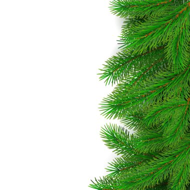 Firavun ağacı sınır arkaplanı. Noel ağacı dalları. Gerçekçi yeni yıl dekorasyonları. Vektör illüstrasyonu beyaz arkaplanda izole edildi