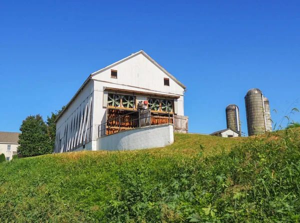 Tabak Hängt Zum Trocknen Einer Weißen Scheune Mit Großen Industriellen — Stockfoto