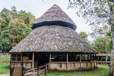 Milli Parkı Laguna Lachua, Guatemala bir kamp yerinde siper al