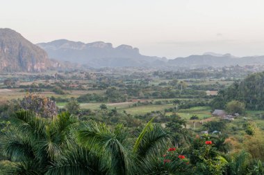 Sabah görünümü Vinales vadinin mogote Dağları, Küba ile