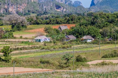 Tarım manzara Vinales vadinin, Küba