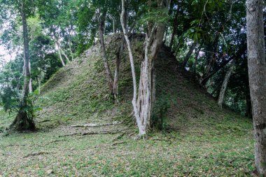 Arkeolojik kalın jungle kapsadığı Harabeleri Yaxha, Guatemala site