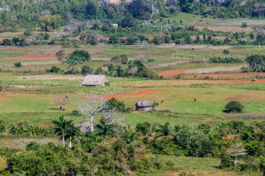 Vinales vadinin, Küba havadan görünümü