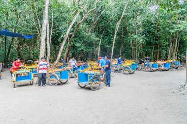 Coba, Meksika - 1 Mart 2016: Pedi-trikes (bisiklet taksi) biniciler Coba, Meksika Maya şehir kalıntıları, turistler için bekle