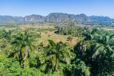 Doğal manzara Vinales vadinin, Küba