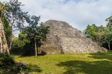 Harabe bir piramit bir arkeolojik site Yaxha, Guatemala