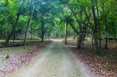 Kalın arkeolojik ormana kapsadığı Harabeleri Yaxha, Guatemala site