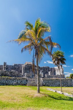 Harabeleri antik Maya kentin Tulum, Meksika