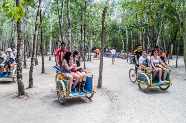 Coba, Meksika - 1 Mart 2016: Pedi-trikes (bisiklet taksi) turist Coba, Meksika Maya şehir kalıntıları ile
